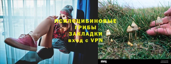 меф Алзамай