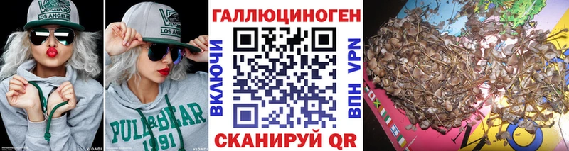 купить  цена  Одинцово  Псилоцибиновые грибы GOLDEN TEACHER 